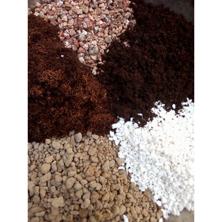 đất trồng sen đá, xương rồng cao cấp (soil mix)