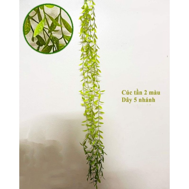 Cành rủ trang trí, dây cúc tần nhựa dài 100cm, 5nhánh - shophoaluacaycanhhn