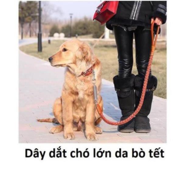 Dây dắt chó lớn + dây  da bò tết cho chó trên 20kg