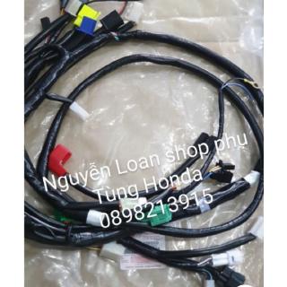 Bộ dây điện sườn hayate