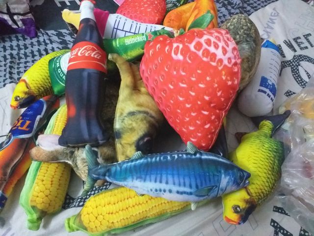 Gối Ôm Hình Cá Biển - Gối Ôm 3D Cá Ngừ Đại Dương làm đồ chơi cho bé yêu