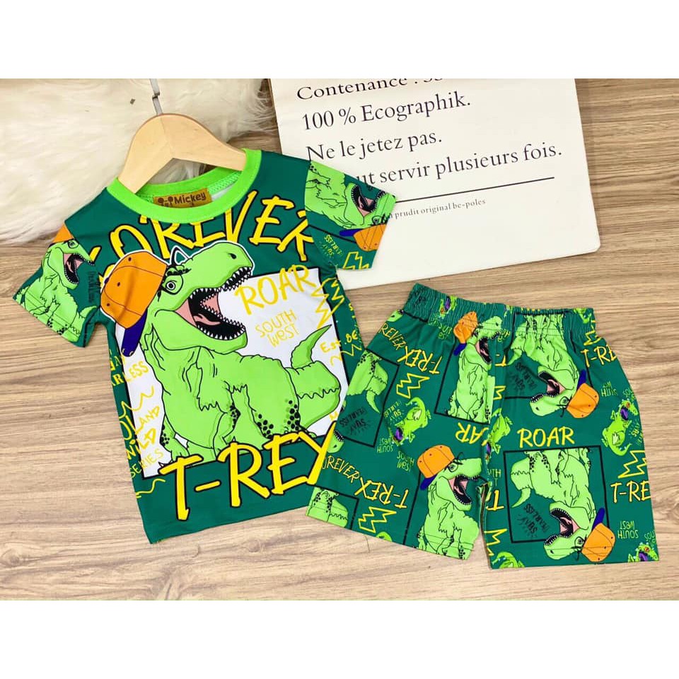 Bộ Quần Áo Trẻ Em In Hình 3D cho bé Trai Và Gái | BigBuy360 - bigbuy360.vn