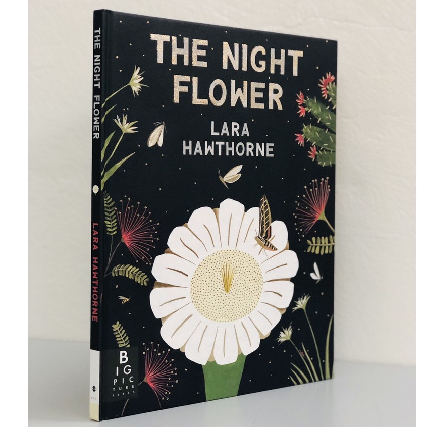 Sách The Night Flower - tìm hiểu về các loài hoa, học giỏi toán