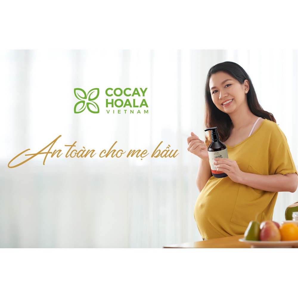 Dầu gội đầu gừng - Bộ Dầu Gội Xả Chiết Xuất Gừng Dừa An Toàn Cho Mẹ Sau Sinh Cocayhoala 500 ml | BigBuy360 - bigbuy360.vn