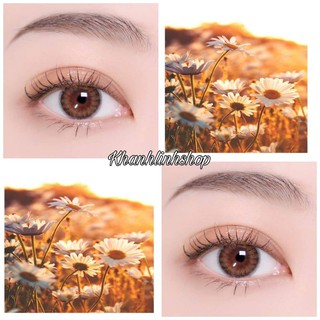 9 mẫu lens nâu tây tự nhiên (hot trend) 2021 dòng lens sử dụng 12 tháng được tặng kèm khay đựng