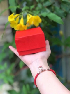 ✨ VÒNG TAY ĐỎ MÈO Neko MAY MẮN ✨