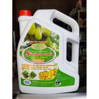 Phân bón vi lượng Siêu lớn cây To trái mít Giúp cây lớn nhanh xanh tốt To trái hạn chế sơ đen sượng trái can 5 lít