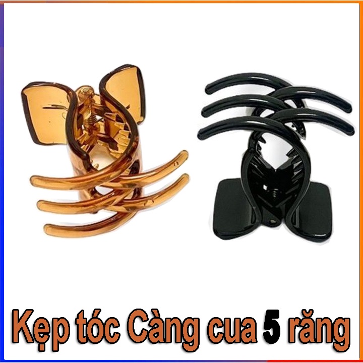 Kẹp tóc nhựa càng cua Hàn Quốc 5 răng ( nhiều màu sắc )