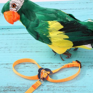 Parrot Bird Leash Adjustable Harness Pets Anti Flying Outdoor Training Rope