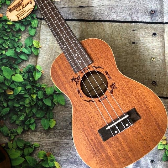 Đàn Ukulele Concert Full Gỗ Có Equalizer - CB25