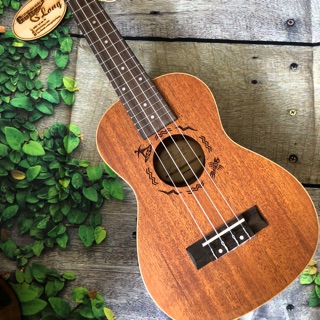 Đàn ukulele concert full gỗ có equalizer - cb25