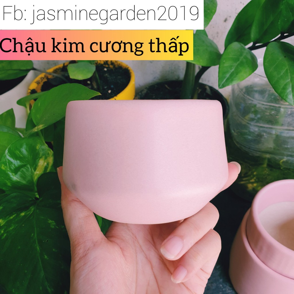 [MUA ĐỂ NHẬN QUÀ] Chậu men trồng cây cảnh, sen đá để bàn