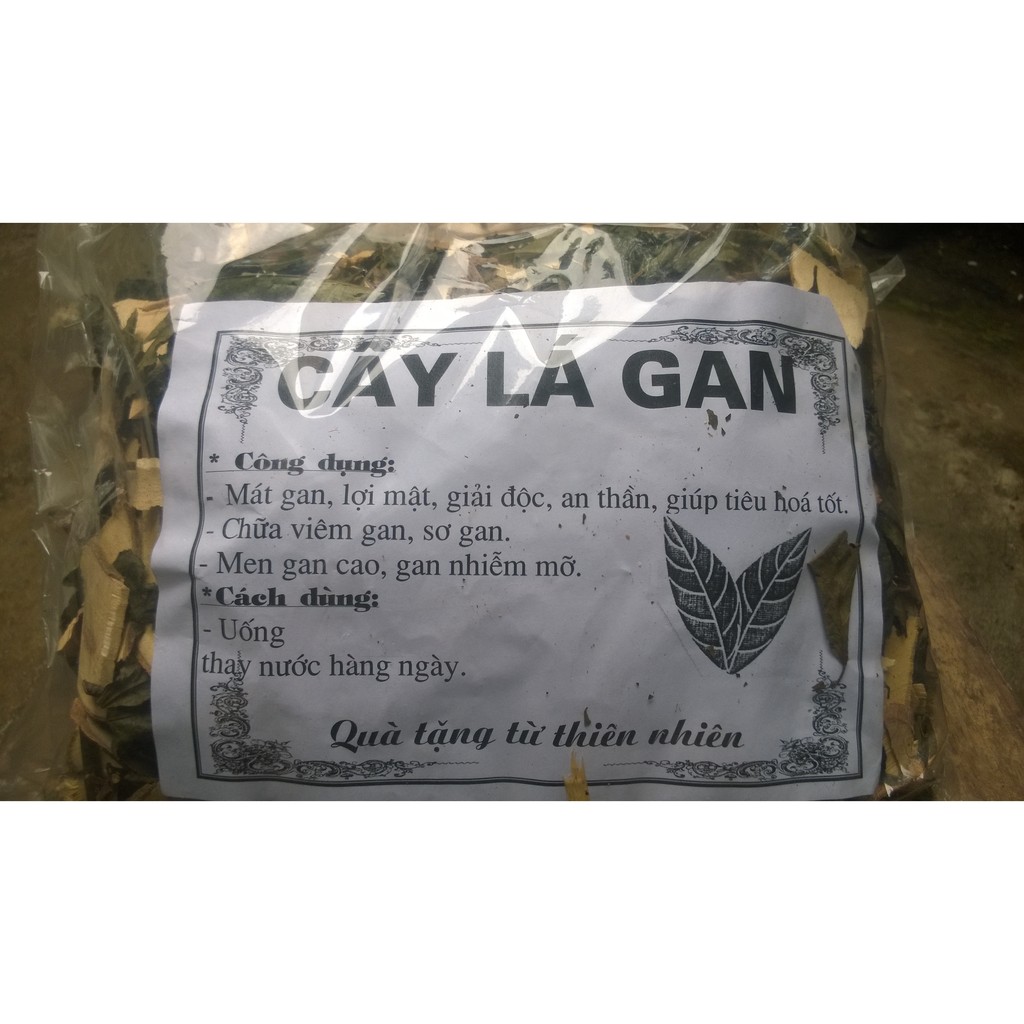 Cây lá gan túi 1 kg | BigBuy360 - bigbuy360.vn