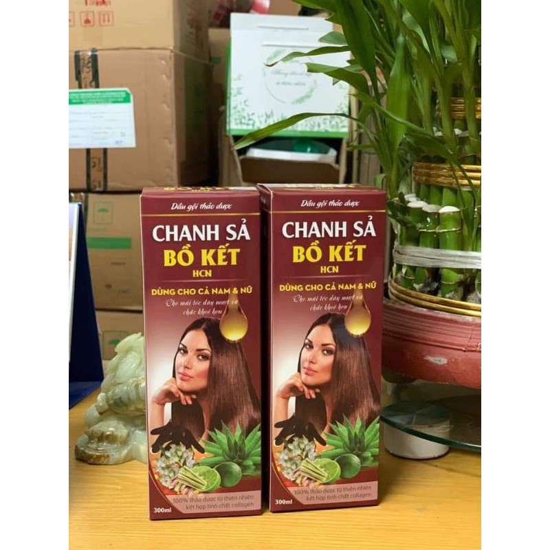 Dầu gội bồ kết xả chanh và bồ kết hoa bưởi