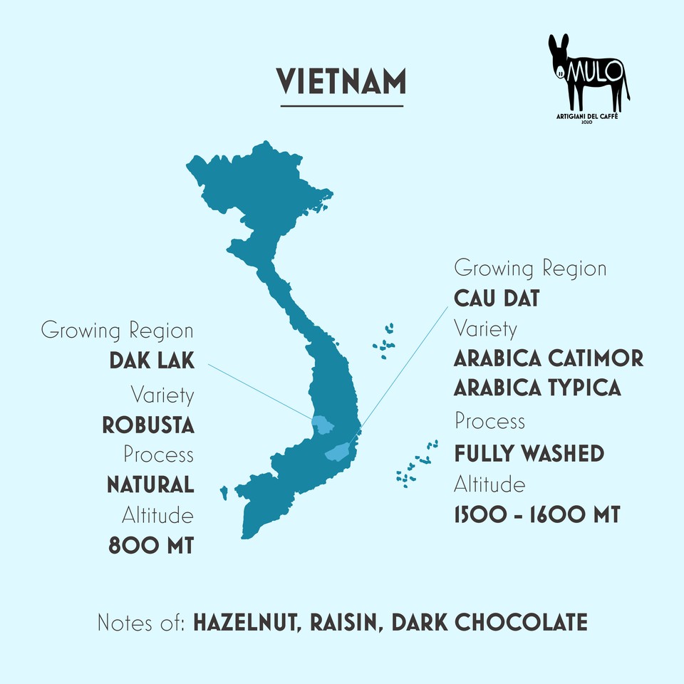 Cà phê Gu Nhẹ DOLCE FAR NIENTE nguyên chất , MULO Coffee - Hương vị thanh nhẹ, ngọt hậu