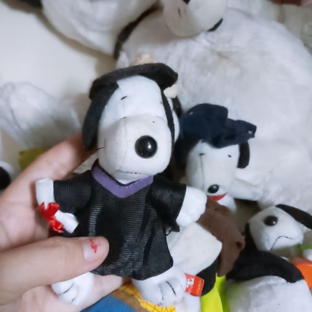 gau bong vi