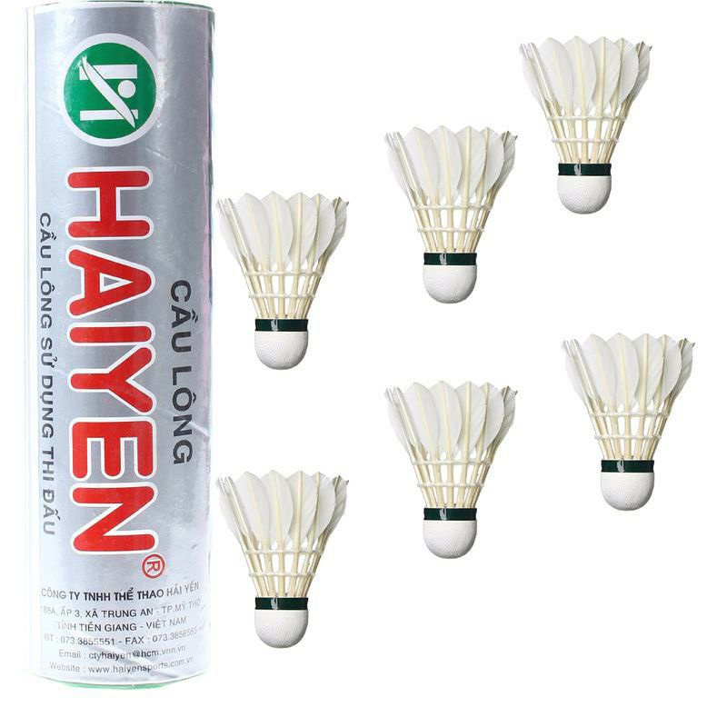 ỐNG CẦU HẢI YẾN 6 TRÁI VÀ 12 TRÁI