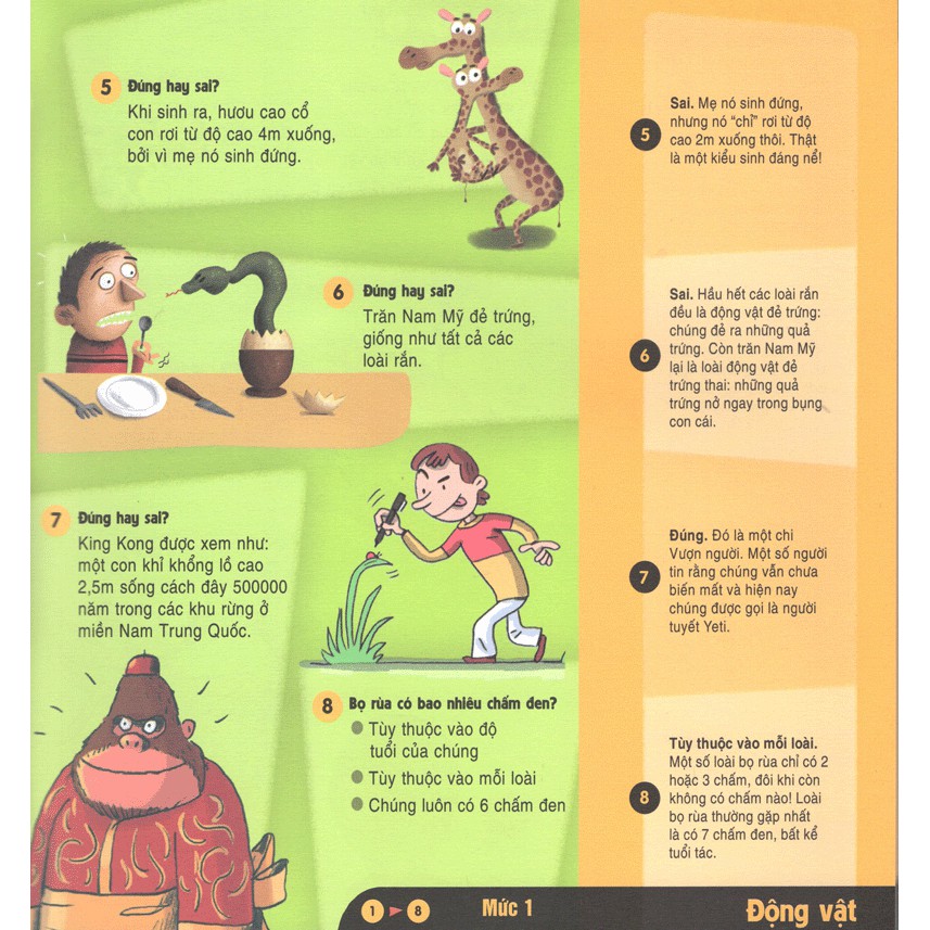 Sách - Maxi quiz - Trắc nghiệm toàn diện về bách khoa tri thức