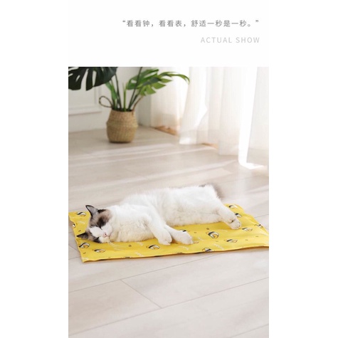 Thảm Gel Thảm Làm Mát Cho Chó Mèo HOẠ TIẾT 45x60cm