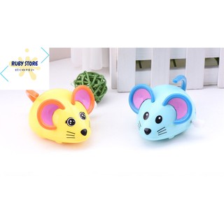 Chuột tí hon di chuyển, ngoắc đuôi