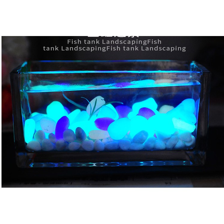 Đá phát sáng trang trí bể cá độc đáo