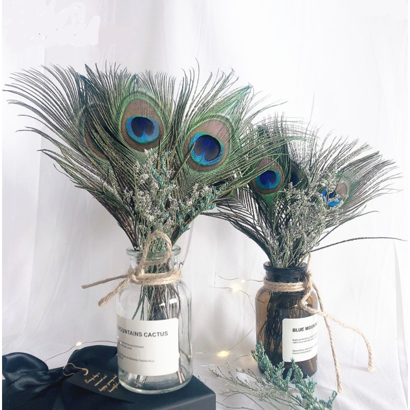 Combo 10 Lông công trang trí phong thủy tài lộc 28-35cm | BigBuy360 - bigbuy360.vn