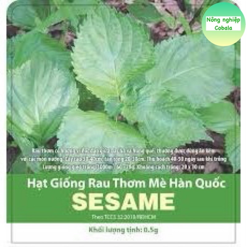 Hạt Giống Rau Thơm Mè Hàn Quốc 0.5gr