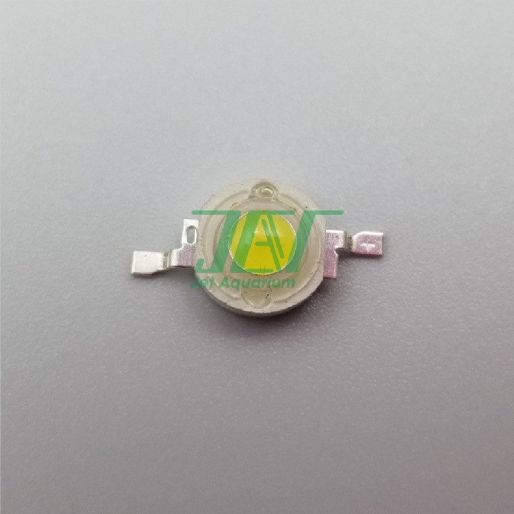 Led 1w Luxeon Epistar Trắng 10000k [CHÍNH HÃNG, CHUẨN BƯỚC SÓNG] Ánh sáng mạnh, Tiết kiệm điện, Tuổi thọ 50000h | BigBuy360 - bigbuy360.vn