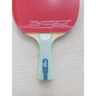 Vợt bóng bàn DHS-5002