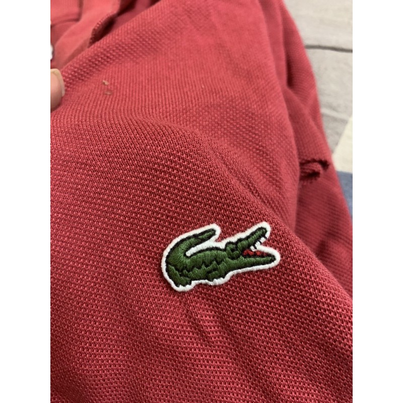 Áo phông lacoste classic (Authentic)