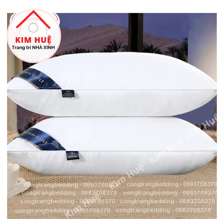 Ruột Gối Đầu Cao Cấp Pillow Nhiều Màu Tiêu Chuẩn 5* Kích Thước 45x65cm