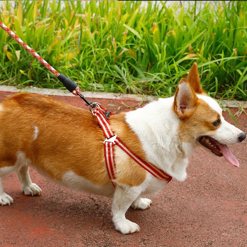 Dây dắt yếm cổ cho chó cao cấp