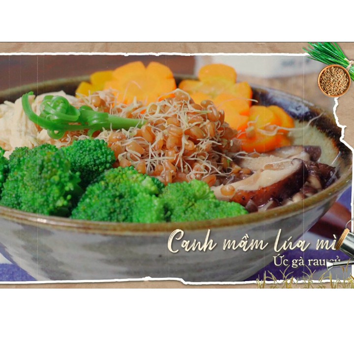 Hạt Cỏ Lúa Mì Hữu Cơ Organic WheatGrass Seeds Sottolestelle 500g