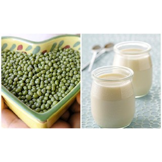 Bột đậu xanh nguyên chất Vic's 100gr