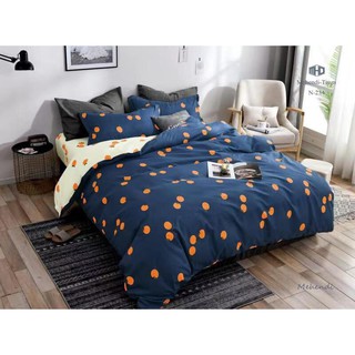 Bộ cotton poly chăn trần bông dày