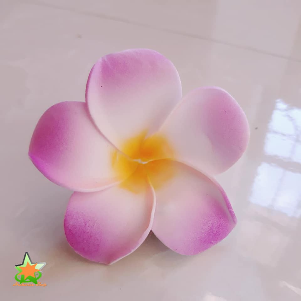 Hoa đại cài tóc đi biển, hoa sứ cài tóc