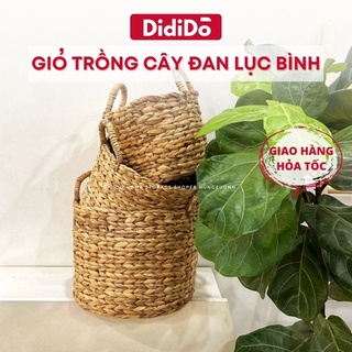 Giỏ đựng đồ trồng cây đan lục bình các size