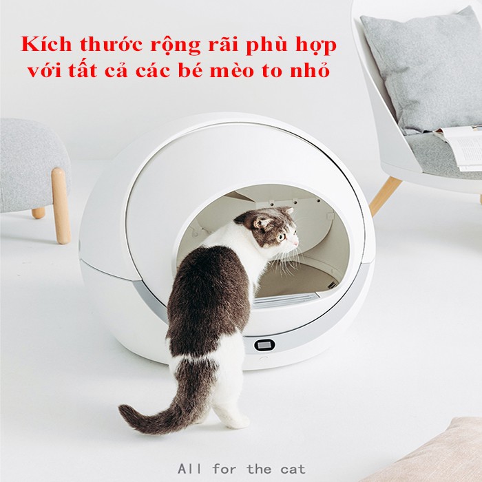 Nhà vệ sinh tự động cho mèo + máy cho mèo ăn tự động, máy dọn phân cho mèo tự động tiết kiệm chi phí