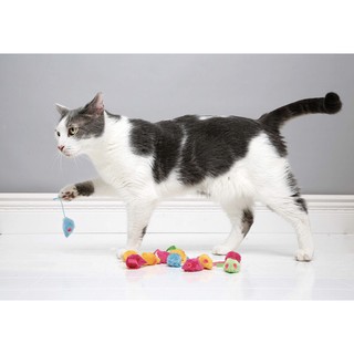 Đồ chơi cho mèo có catnip