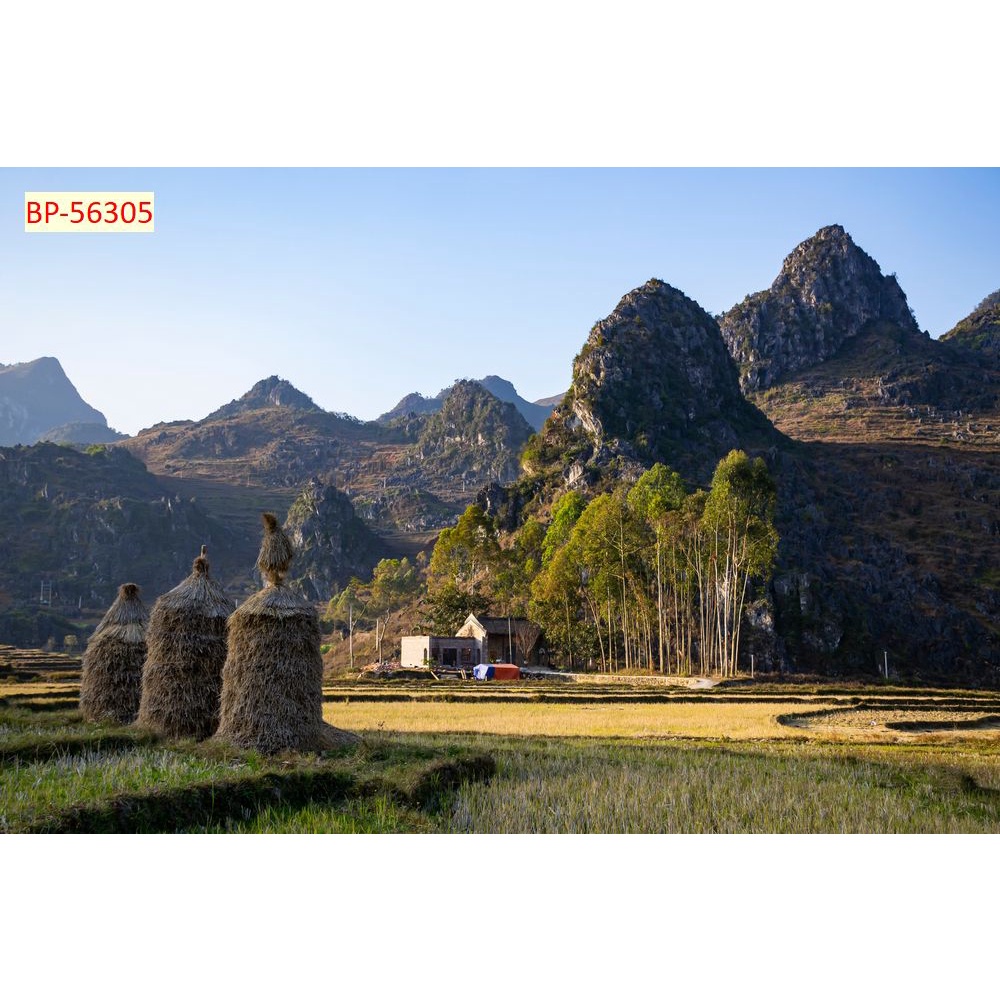 Tranh dán tường PHONG CẢNH VIỆT NAM vùng núi, biển 3D Chất liệu lụa 3D, xé không rách, lau chùi thoải mái