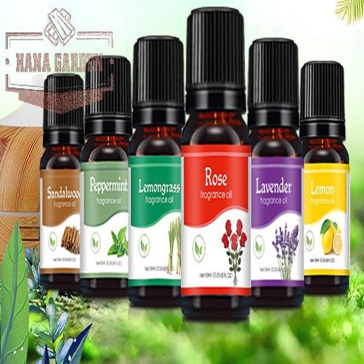 Tinh dầu thiên nhiên Nhập Khẩu GỘP CHUNG CÓ NHIỀU MÙI LỰA CHỌN Tự chọn 12 mùi. Dung Tích: 10ml