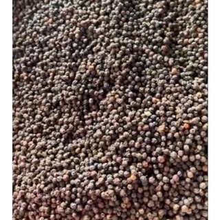 Tiêu sạch đắk lắk loại 1