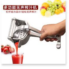 ✔️✔️✔️ Máy ép trái cây hoa quả bằng tay làm nước rau củ cầm tay đa năng bằng inox mini nhỏ gọn tiện dụng