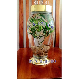 [ CHÍNH HÃNG ] Bình Ngâm Rượu Hàn Quốc 4 Lít , Bình Thuỷ Tinh Yongcheon, BHQ-S117