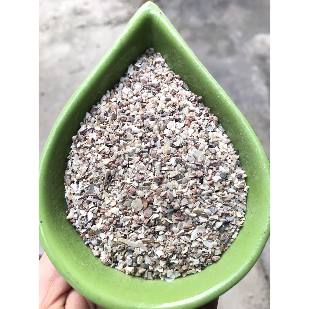 100gr Khoáng Grit (Manitoba-Ý) cho chim vẹt, yến hót, cu gáy, bảy màu, manh manh, sắc nhật.