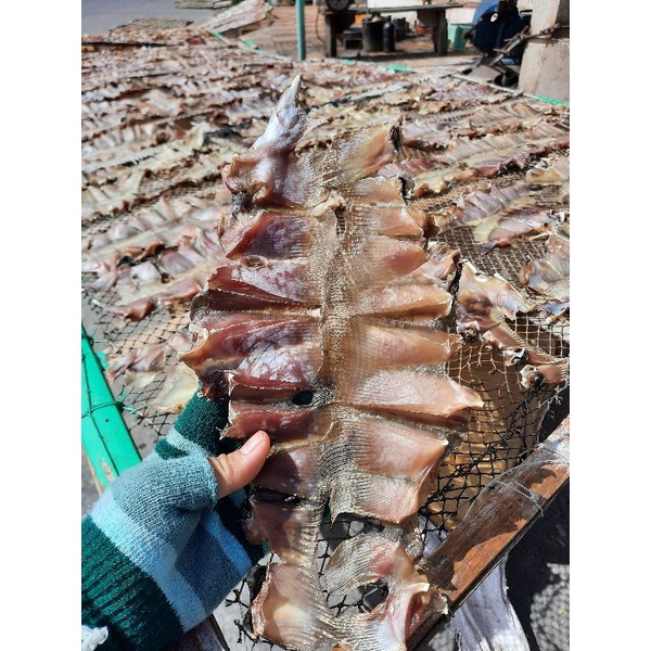 500GR CÁ ĐUỐI BIỂN KHÔ PHAN THIẾT(PHƠI MỘC)