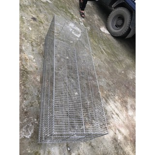 Lồng tập lực chim