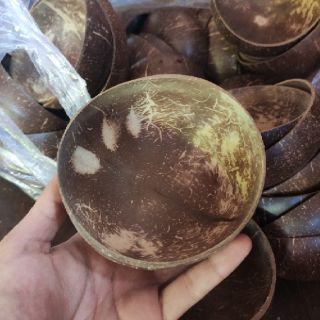 Chén gáo dừa nhỏ nhà làm, giá sỉ cực tốt | Chén gáo dừa giá rẻ
