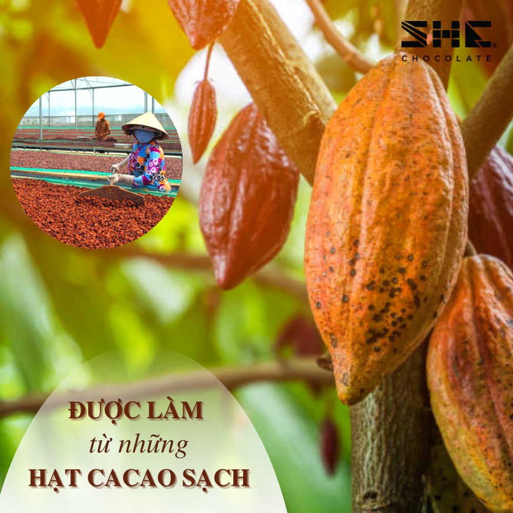 [Pha uống đa dạng] Socola bột SHE Nguyên bản - Túi 500g - SHE Chocolate - Dùng để pha chế hoặc làm bánh - SHENB500