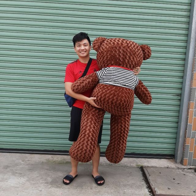 GẤU TEDDY NHỒI BÔNG SIÊU KHỦNG 155CM NẶNG 5500G